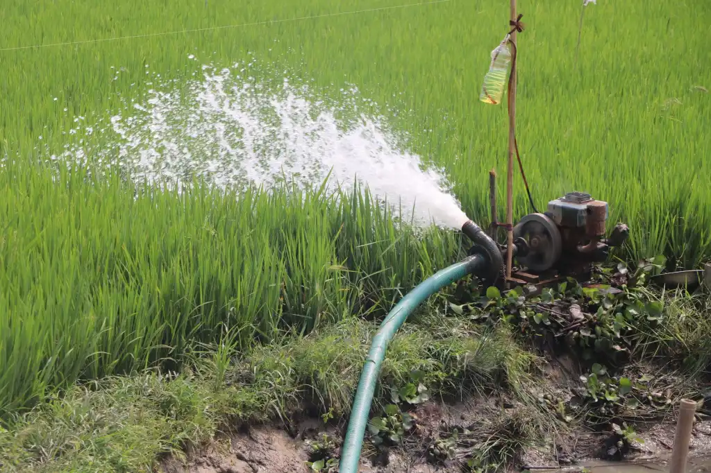 珠宝秤日常校准方法及常见误差原因排查指南