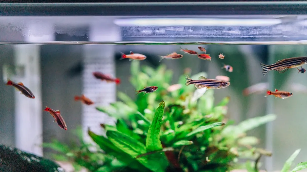 商用厨房秤精准度标准解析与选购指南